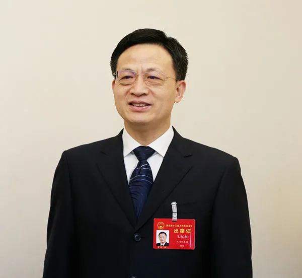 湖北省人大代表、荆门市委书记王祺扬：确保开局漂亮、全年精彩
