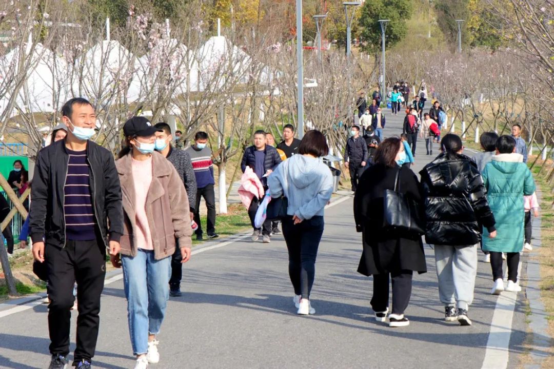 漳河新区：春节旅游市场全面回暖 本地游火热升温