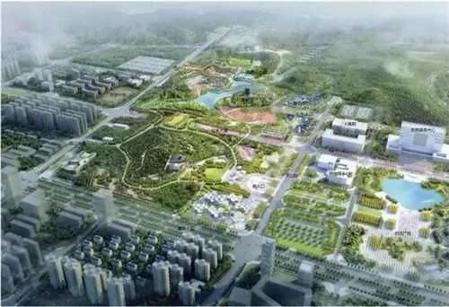 赵俊李文震调研园博园项目建设情况