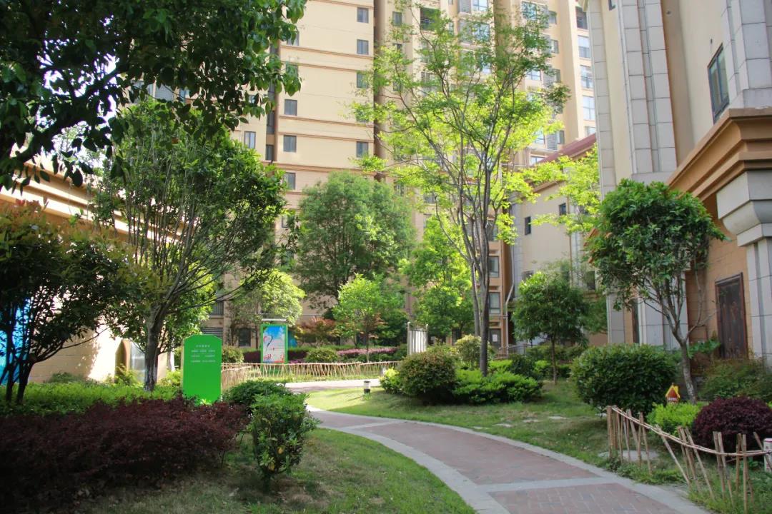 中央华府二月工期播报 | 春暖花开，家音暖心