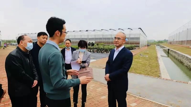 提升项目“含金量”！江稳在调研重点项目建设时这样要求......
