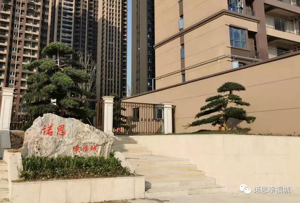 诺思·幸福城三月家书丨春风有信 共鉴美好家境