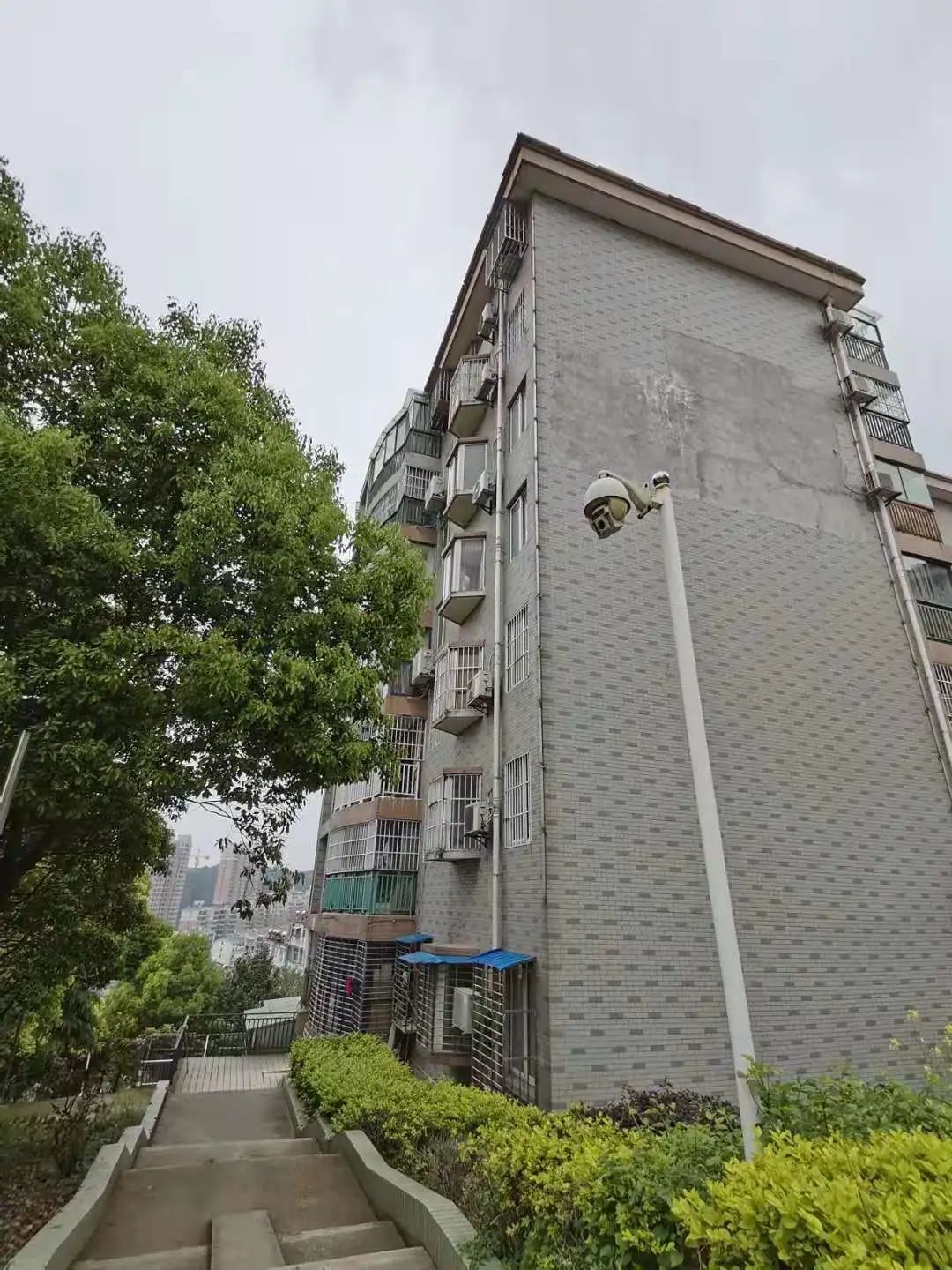景山花园小区“退耕还绿路”还要走多久？