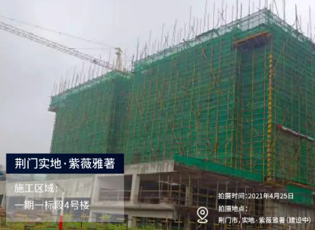 实地紫薇雅著四月家书 | 最美四月天  新家渐可期