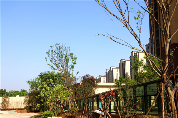 城建地产·长宁太和五月工程播报 | 一封家书奉上 幸福“家”速