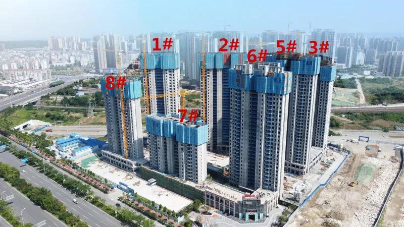 中建壹品·苑6月家书丨蝉鸣知夏意，悦鉴美好家