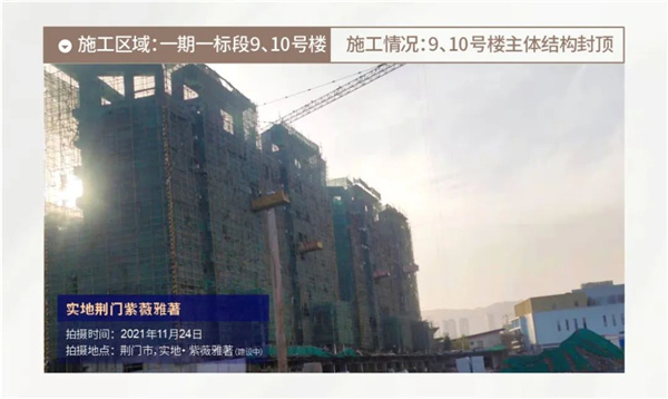 11月家书 | 初冬天微凉，家音暖人心