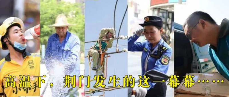 全城招募！寻找有爱心的您加入