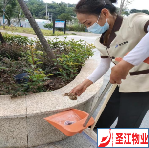 【圣江物业】高温下的坚守 他们不惧“烤”验