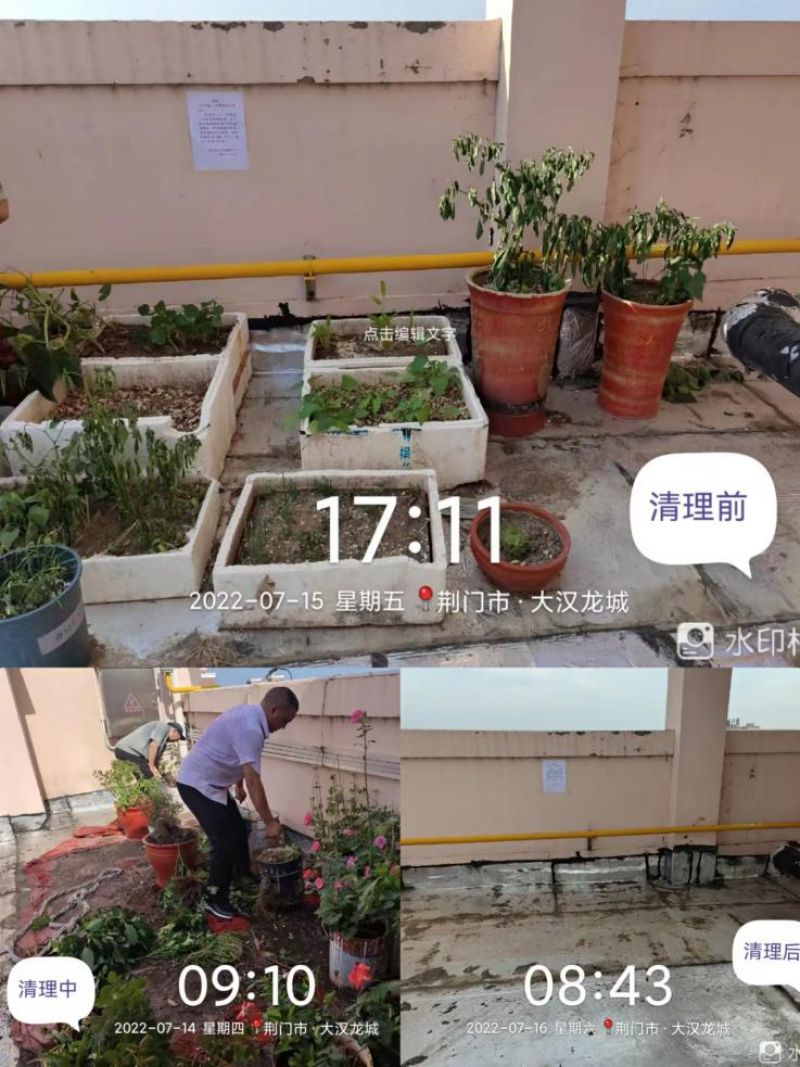 凝心聚力鼓干劲，振奋精神再出发··大汉龙城服务中心全力以赴做好创建文明典范城市工作