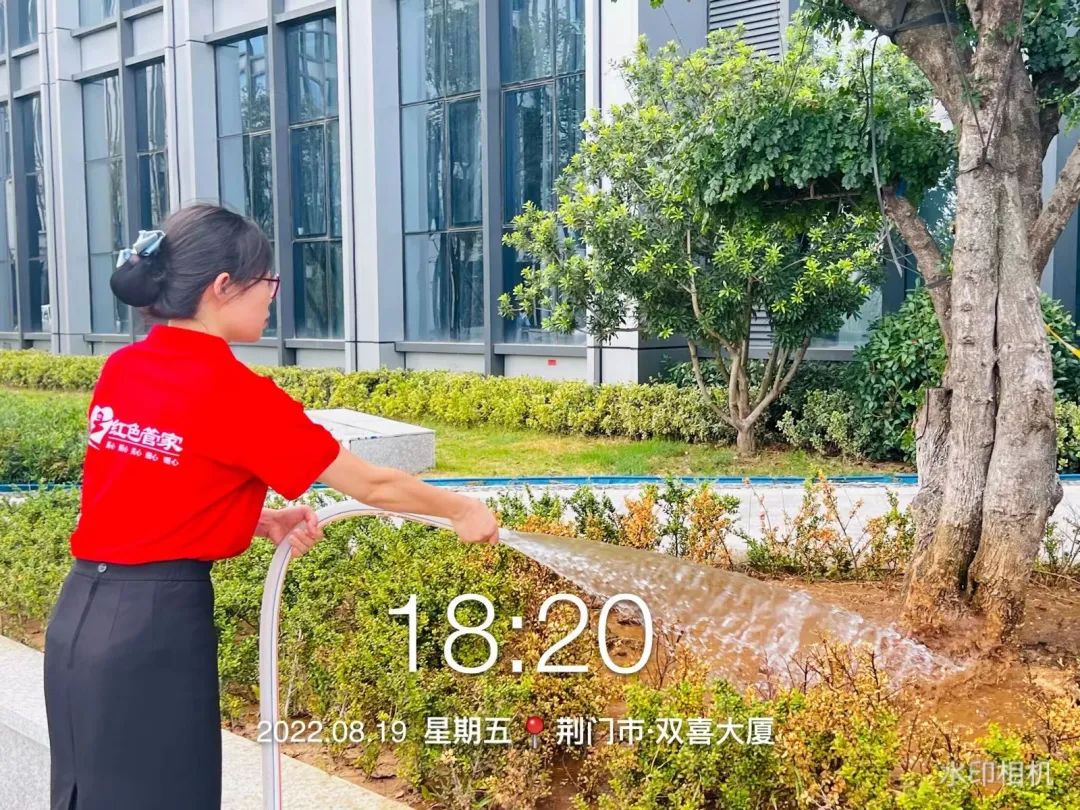 双喜大厦项目服务中心“打响”抗旱“保绿战”