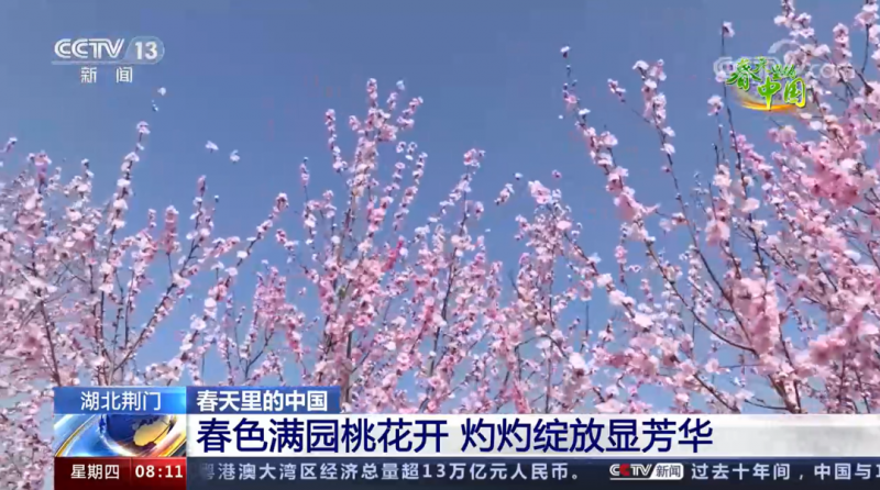 荆门又上央视了！这次关注的是……