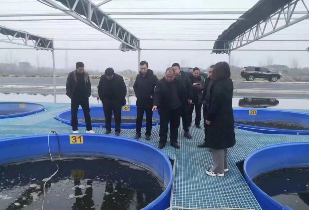团林铺镇： 敲致富之门 解发展之难