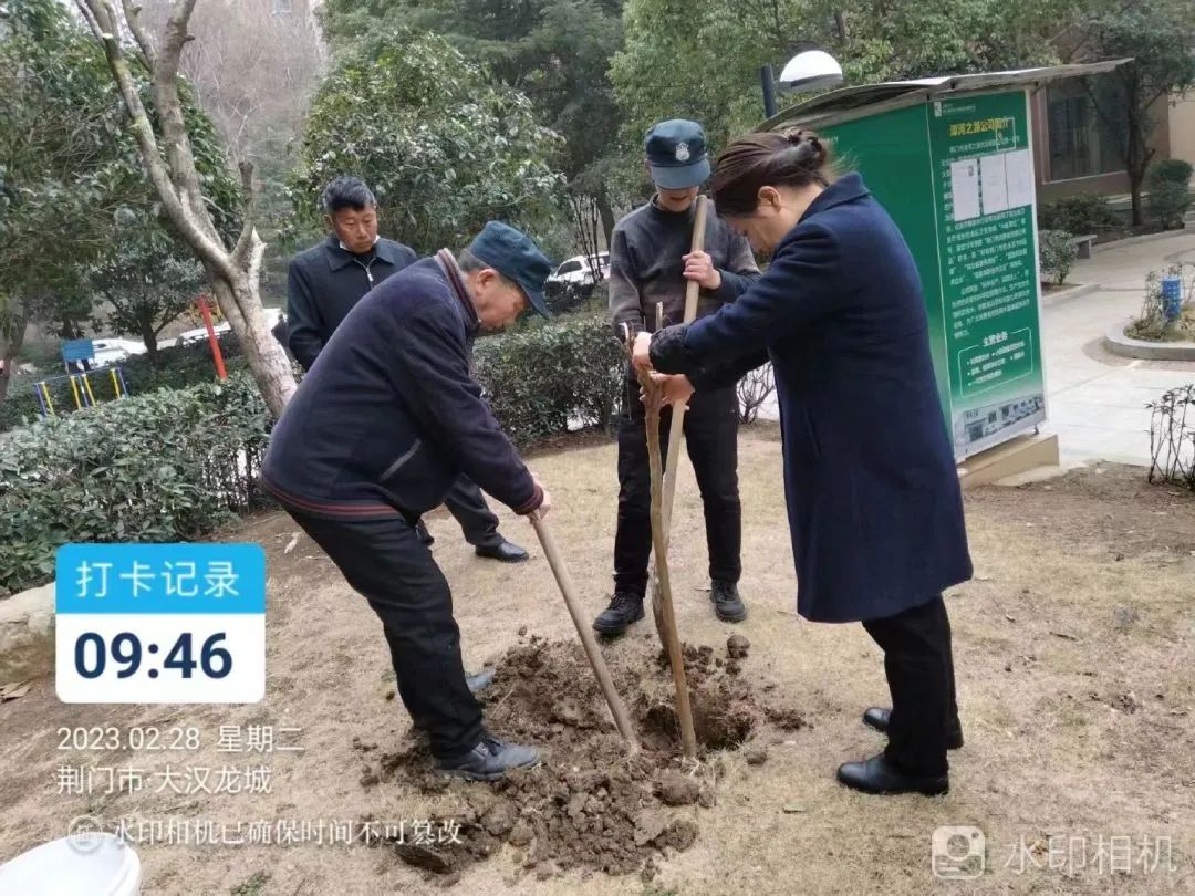 为春天加绿，为小区补妆··市城控物业公司大汉龙城项目服务中心开展绿化补栽活动