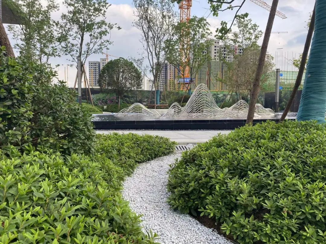 “神兽”暑期计划如何安排？来洋丰·山水云著get新玩法！