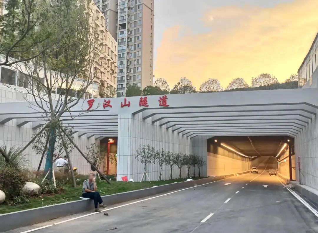 【重大喜讯】蓝城中房·桃花源北门旁罗汉山隧道已通车！桃源从此不再深处！