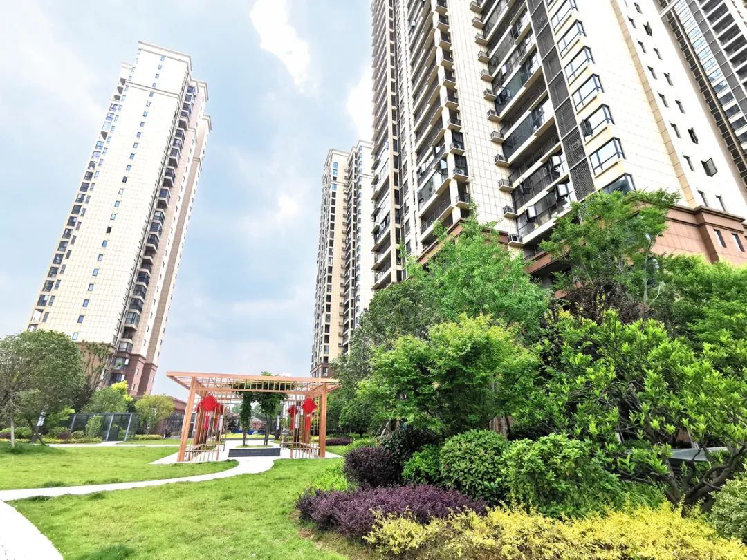【泓博·世纪首府】业主说丨住在公园里，让美好生长，让生活归心