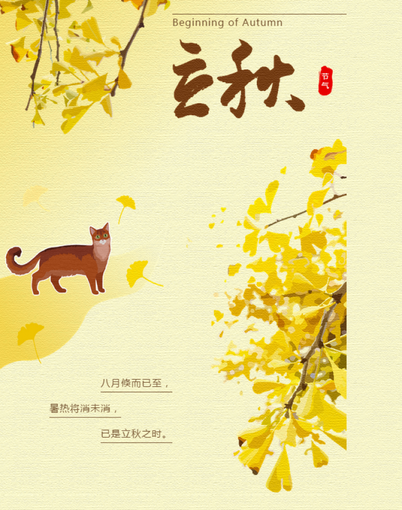 【碧波春城·三期】立秋丨夏未尽，秋已至，一宿秋风未觉凉