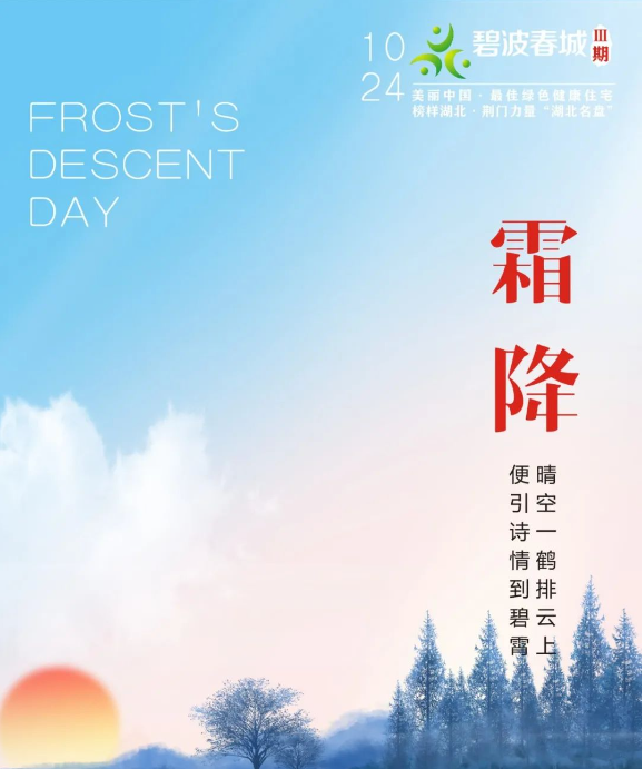 【碧波春城·三期】一霜一柿意秋寒，一降一红亦渐冬！