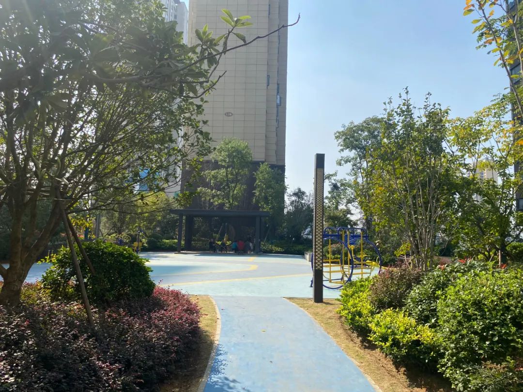 秋色已浓入洋丰，恰是赏景好时节