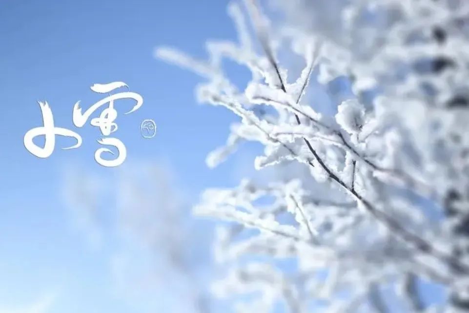 【碧波春城·三期】今日小雪，围炉烹茶，人间安暖~