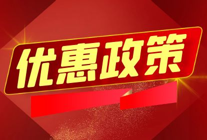 2024年外出务工人员返乡置业安居政策