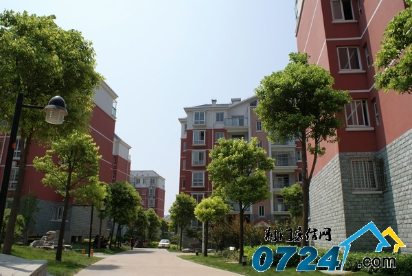 锦绣·紫荆城