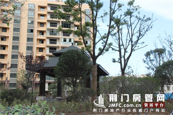 飞扬·新天城