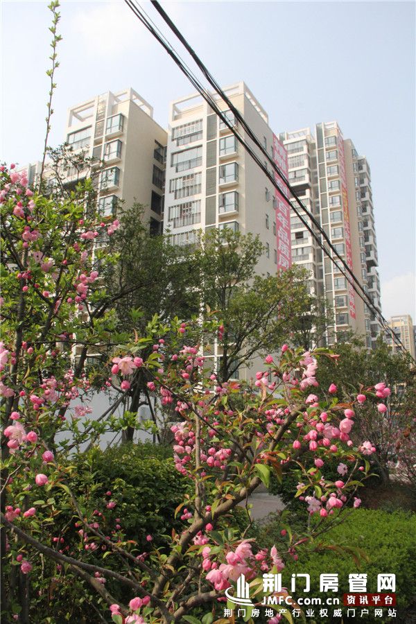 锦宏·凤凰城