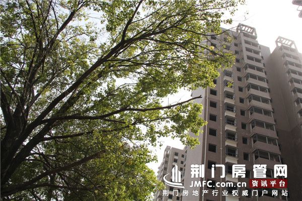 亿龙·福星城