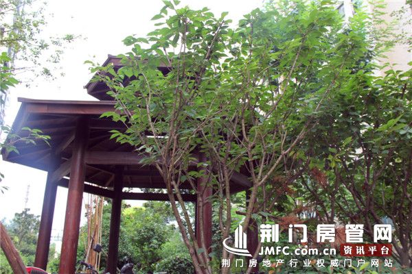 锦宏·凤凰城