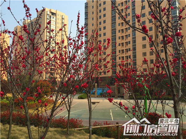 飞扬·新天城