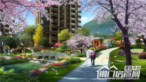 龙山国际