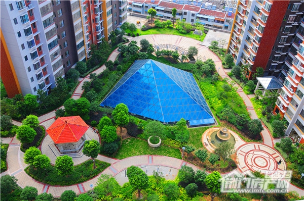 葡萄园·城市花园