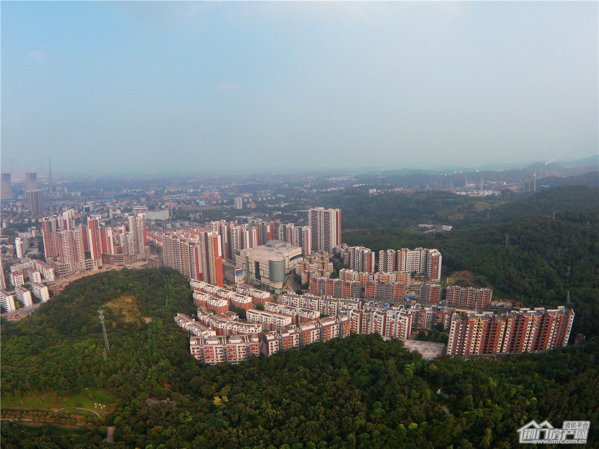 葡萄园·城市花园
