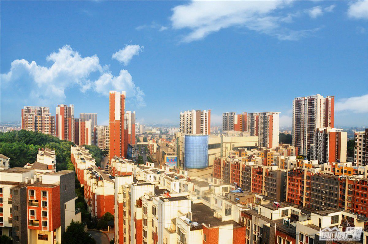 葡萄园·城市花园