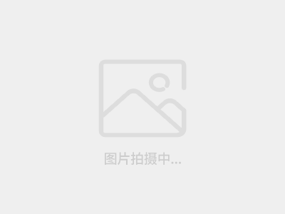 效果图